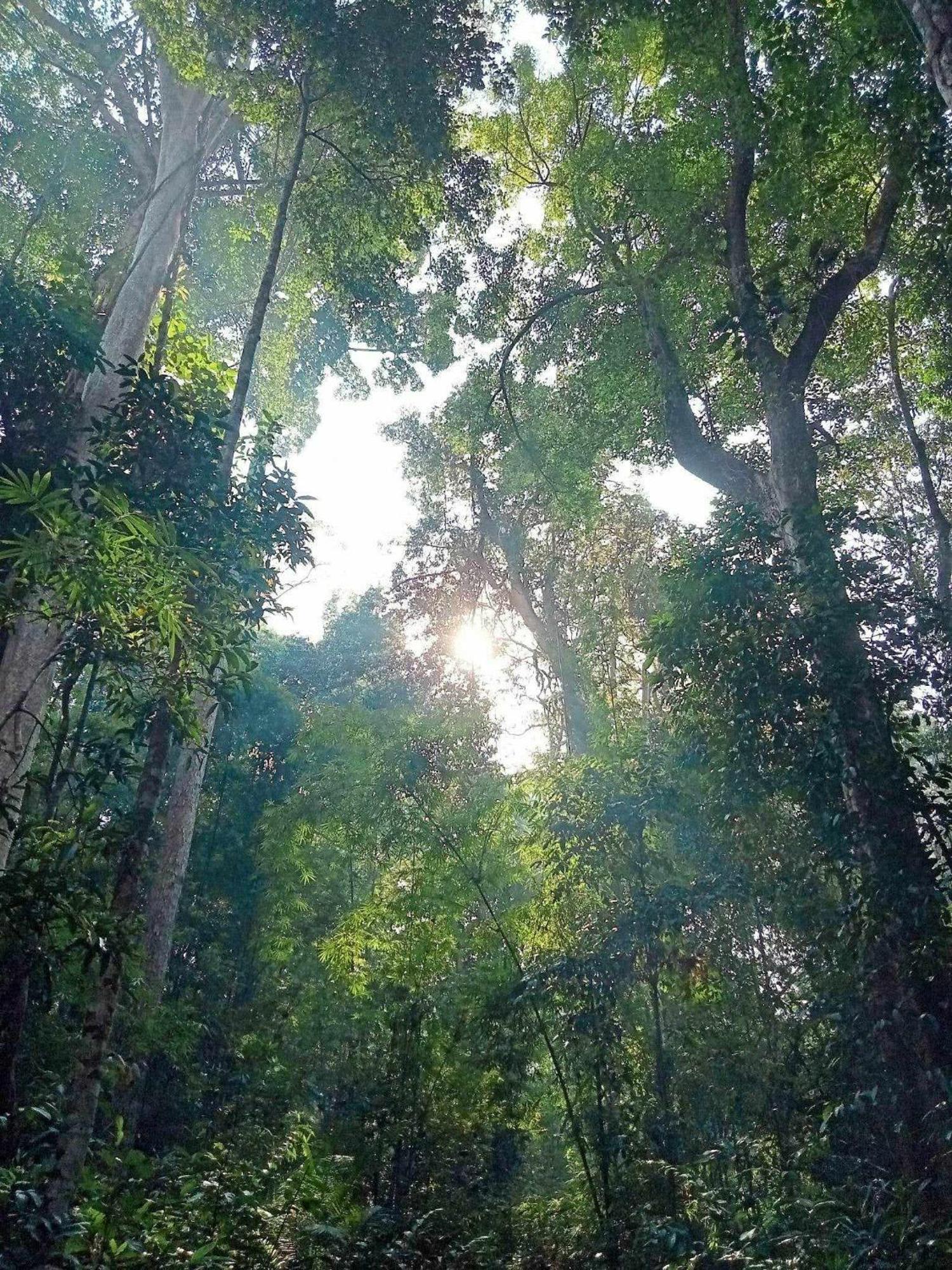Bee Bee'S Chalets Home Stay And Trekking Banlung Esterno foto