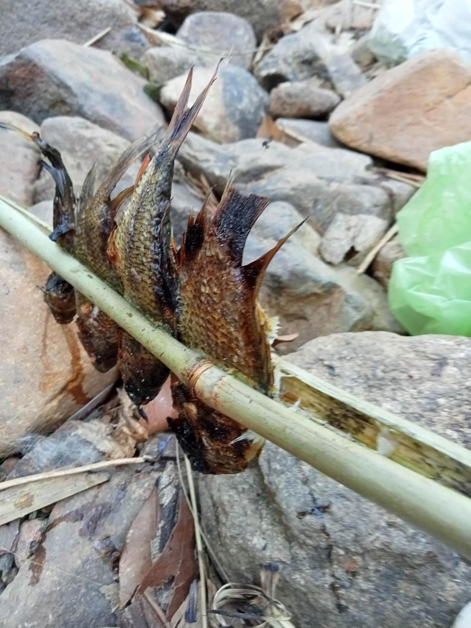 Bee Bee'S Chalets Home Stay And Trekking Banlung Esterno foto